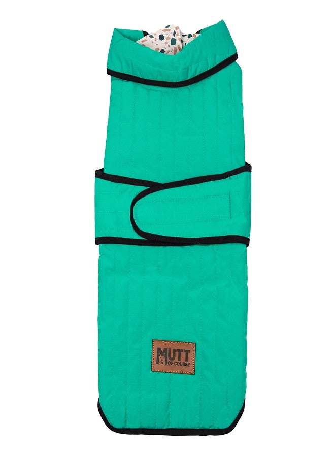 Mutt of Course جاكيت للكلاب من ماركة Mutt of Course Green Flap (مقاوم للماء والرياح) (اللون: أخضر) (محيط الرقبة: 19 بوصة | محيط الصدر: 21-22 بوصة | الطول: 17 بوصة) (مقاس كبير جدًا) - Image 1